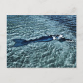 Saltwater Mermaid Briefkaart (Achterkant)