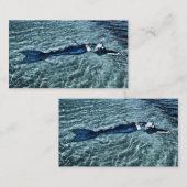 Saltwater Mermaid Informatiekaartje (Voorkant / Achterkant)