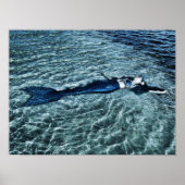 Saltwater Mermaid Poster (Voorkant)