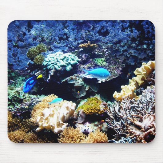 Saltwater Tank mousepad 1 Muismat (Voorkant)