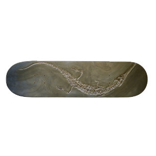 Saltwaterkrokodil Fossil Steneosaurus bollensis Persoonlijk Skateboard