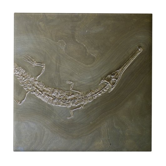 Saltwaterkrokodil Fossil Steneosaurus bollensis Tegeltje (Voorkant)