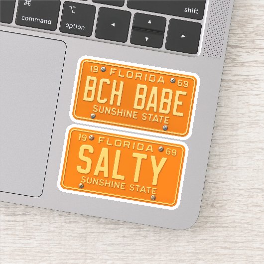 Salty Beach Babe - Retro Florida License Plate 2pc Sticker (Detail)