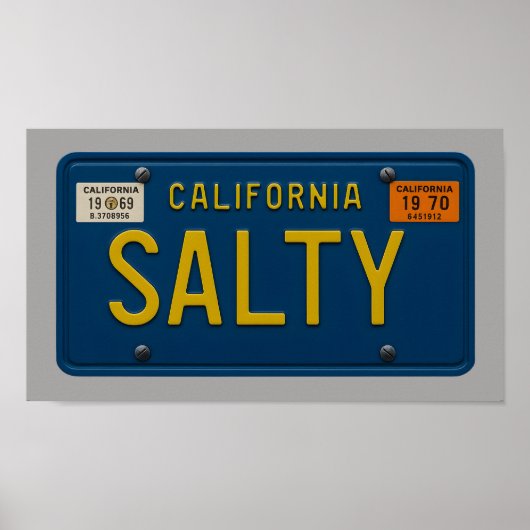 Salty - Retro 1969 California License Plate Art Poster (Voorkant)