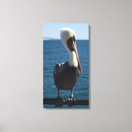 Salty Zee Pelican Canvas Afdruk