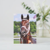 Saluda, 2 jaar oud, vuil van Congaree Briefkaart (Staand voorkant)