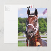 Saluda, 2 jaar oud, vuil van Congaree Briefkaart (Voorkant / Achterkant)