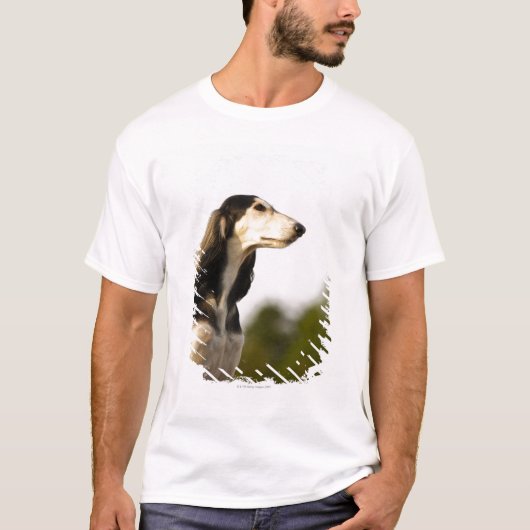 Saluki 2 t-shirt (Voorkant)