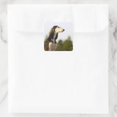 Saluki 2 vierkante sticker (Tas)