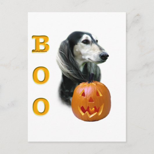 Saluki Boo Briefkaart (Voorkant)