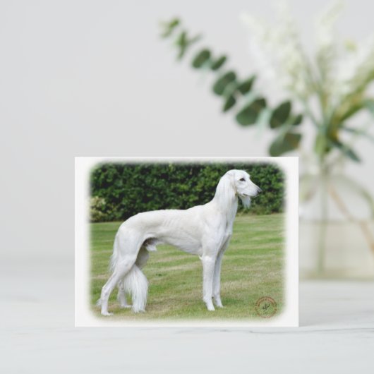 Saluki Briefkaart (Staand voorkant)