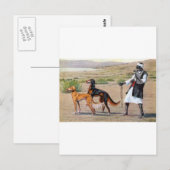 saluki briefkaart (Voorkant / Achterkant)
