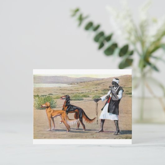 saluki briefkaart (Staand voorkant)