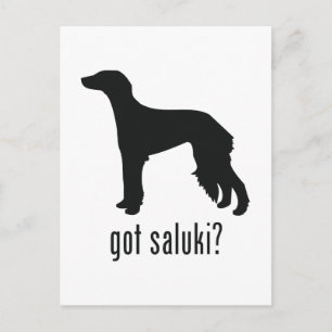 Saluki Briefkaart