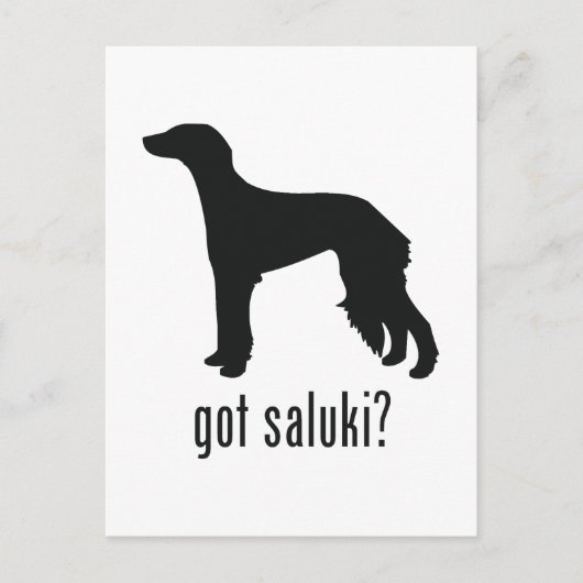 Saluki Briefkaart (Voorkant)