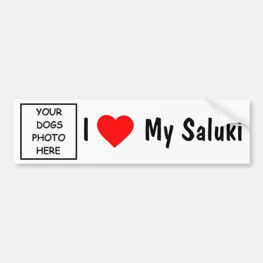 Saluki Bumpersticker (Voorkant)