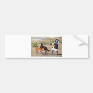 saluki bumpersticker