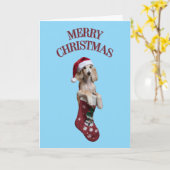 Saluki Christmas Stocking Kaart (Gele Bloem)