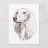 Saluki Dog Art Ink Drawing Briefkaart (Voorkant)