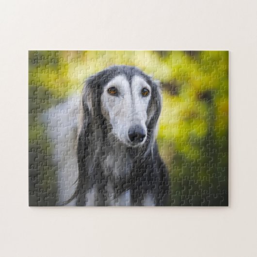 Saluki Dog Jigsaws. Legpuzzel (Horizontaal)