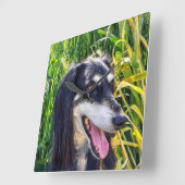 Saluki Dog Vierkante Klok (Hoek)