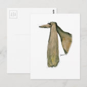 saluki hond , tony fernandes briefkaart (Voorkant / Achterkant)