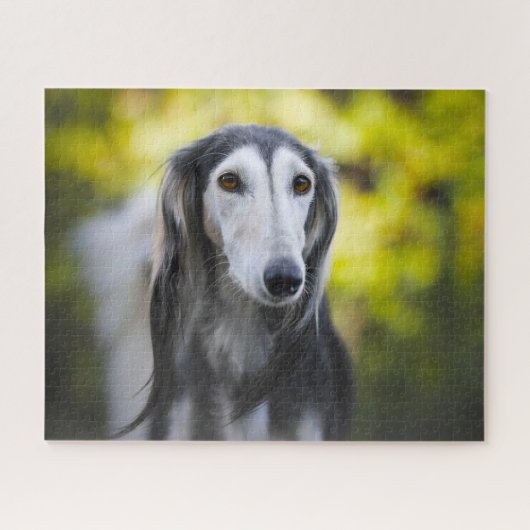 Saluki-hondenpuzzels. Legpuzzel (Horizontaal)