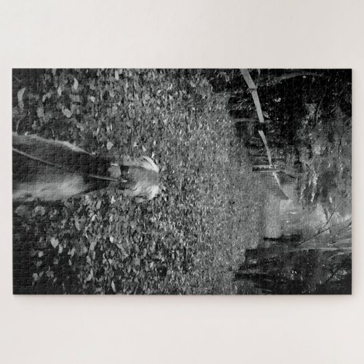 Saluki in de bossen legpuzzel (Horizontaal)