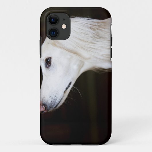 Saluki kijkt omhoog Case-Mate iPhone case (Achterkant)