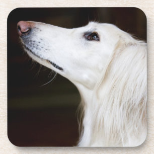 Saluki kijkt omhoog drankjes onderzetter