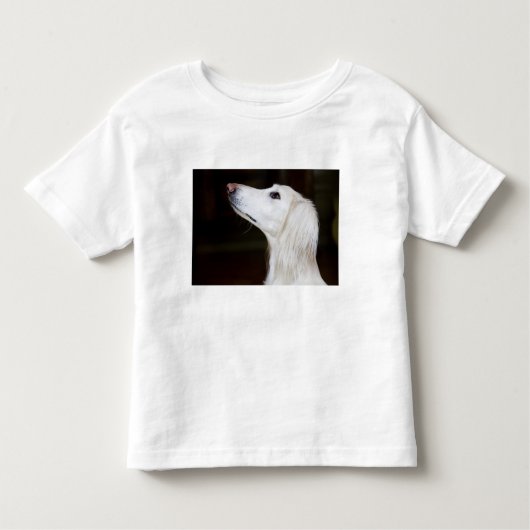 Saluki kijkt omhoog kinder shirts (Voorkant)