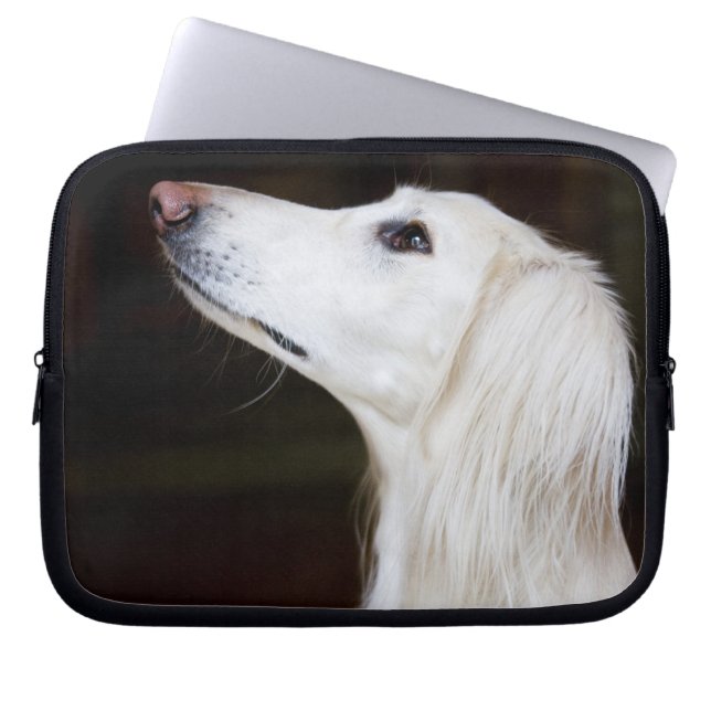 Saluki kijkt omhoog laptop sleeve (Voorkant)