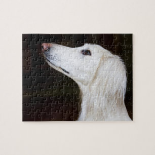 Saluki kijkt omhoog legpuzzel