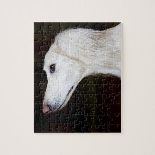 Saluki kijkt omhoog legpuzzel (Verticaal)