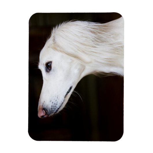 Saluki kijkt omhoog magneet (Verticaal)