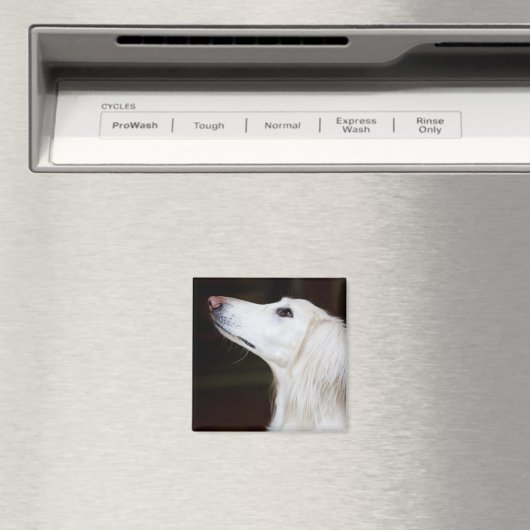 Saluki kijkt omhoog magneet (Insitu (Vaatwasser))