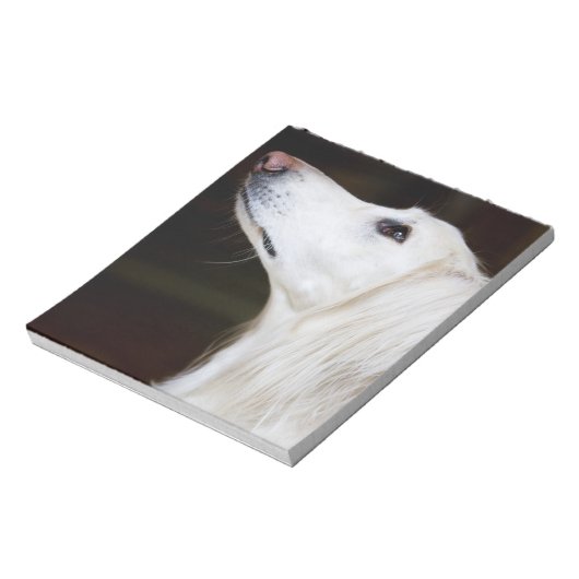 Saluki kijkt omhoog notitieblok (Linkerzijde)