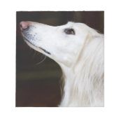 Saluki kijkt omhoog notitieblok (Voorkant)