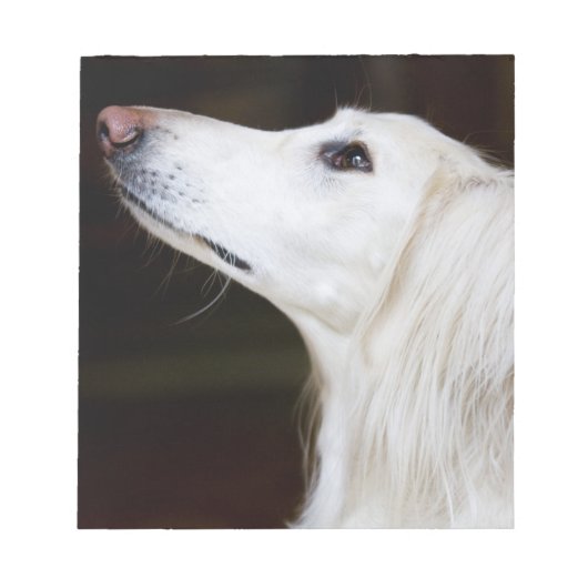 Saluki kijkt omhoog notitieblok (Voorkant)