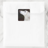 Saluki kijkt omhoog vierkante sticker (Tas)