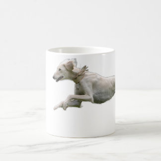 saluki koffiemok