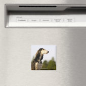 Saluki Magneet (Insitu (Vaatwasser))