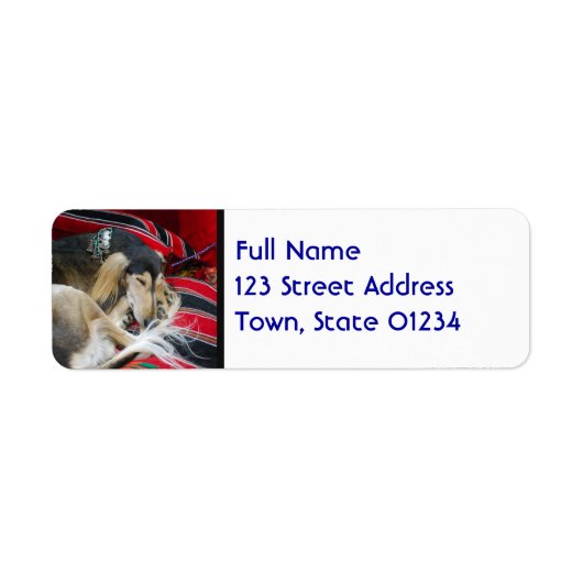 Saluki Mailing Labels (Voorkant)