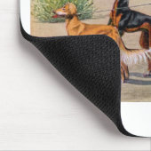 saluki muismat (Hoek)