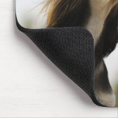 Saluki Muismat (Hoek)