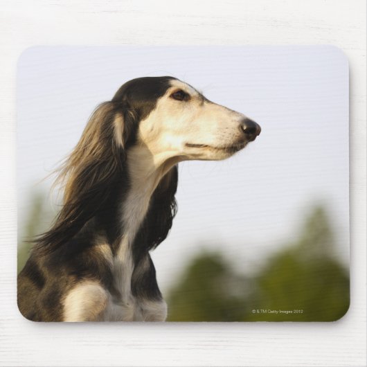 Saluki Muismat (Voorkant)