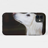 Saluki omhoog kijkend Case-Mate iPhone case (Achterkant (horizontaal))