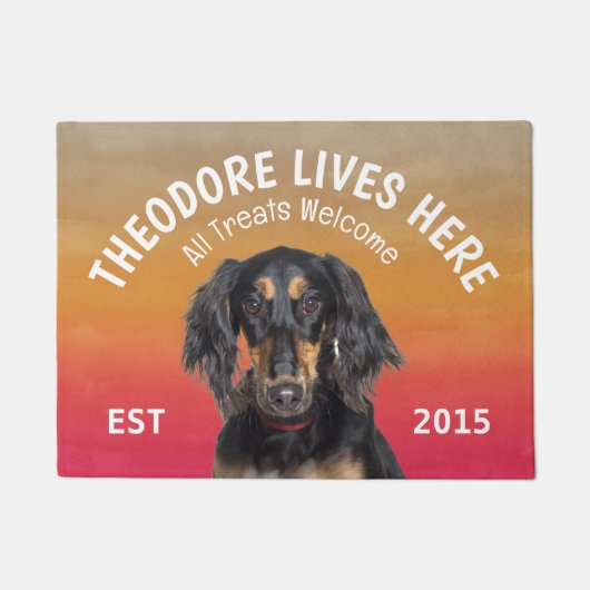 Saluki Persoonlijk Hondenliefhebber Doormat Deurmat (Voorkant)