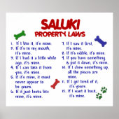 SALUKI PL2 POSTER (Voorkant)