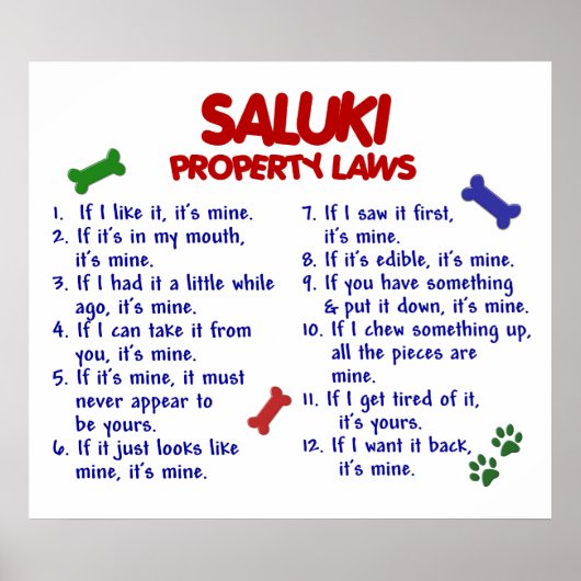 SALUKI PL2 POSTER (Voorkant)